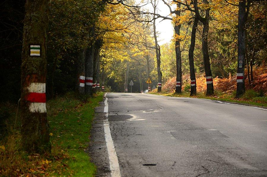 Przełęcz Lisia