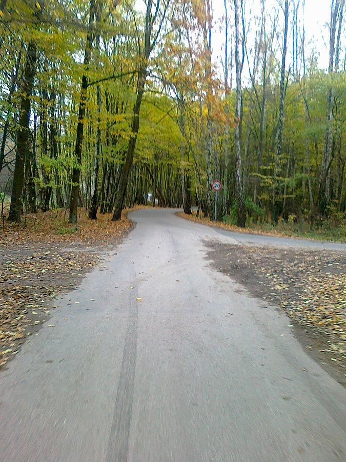 Wjazd z lasu do Klaudyna