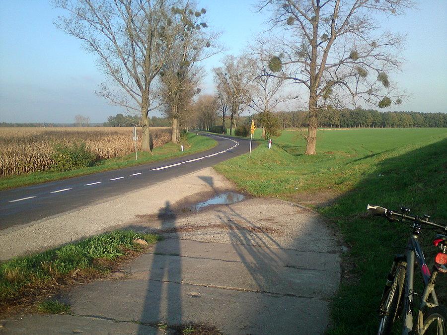 Po kilku szaro burych dniach