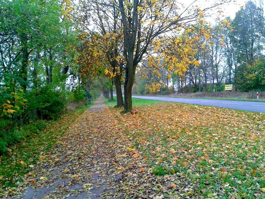 Jesień na DDR -ce do Motańca