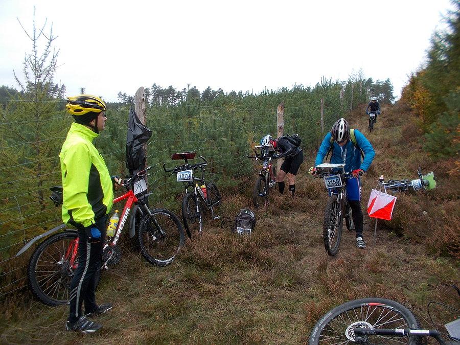 48 Harpagan - punkt 12
