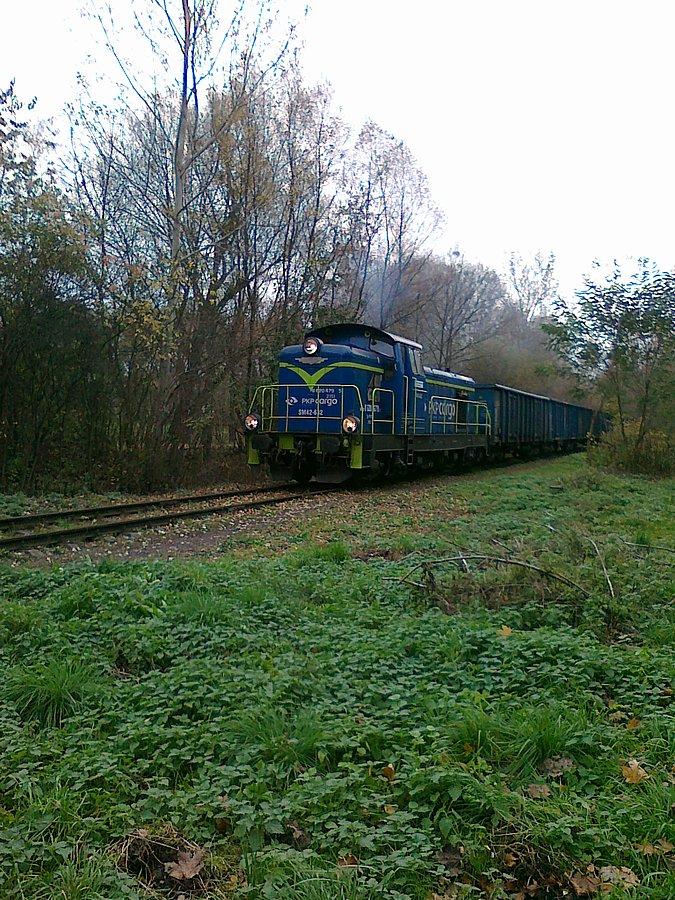 Pociąg jadący przez las. W tym miejscu spotkałam go pierwszy raz