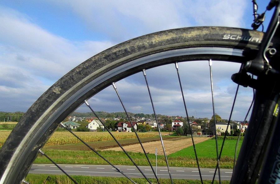 Widok z wałów Polderu Buków
