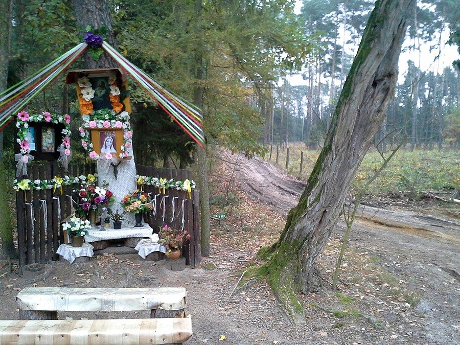 Kapliczka w lesie zbierskim