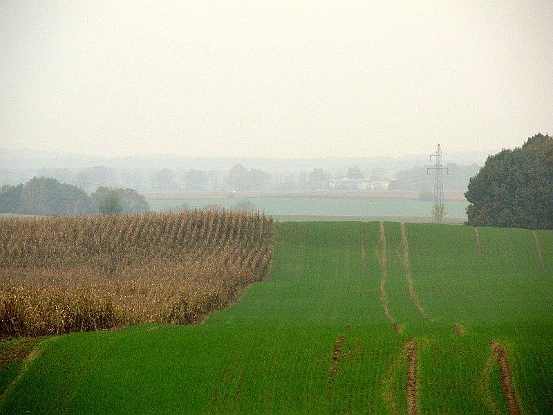 Widok ze stogu siana w kierunku Karłowic