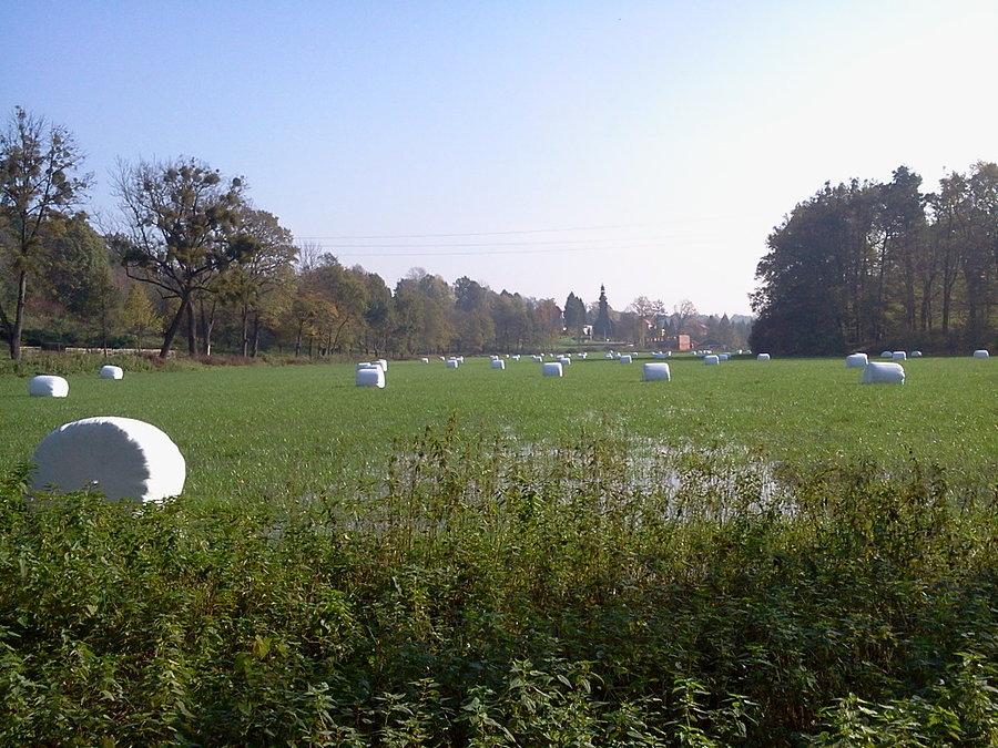 Kończyce Wielkie, podtopiona łąka