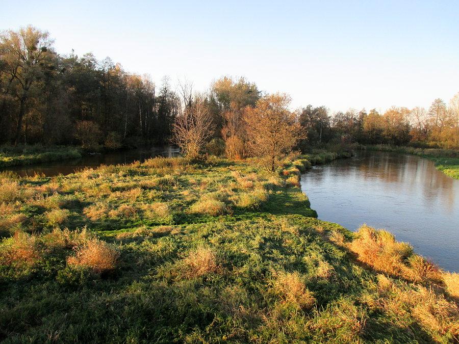 Meandrujący Wieprz w Łańcuchowie