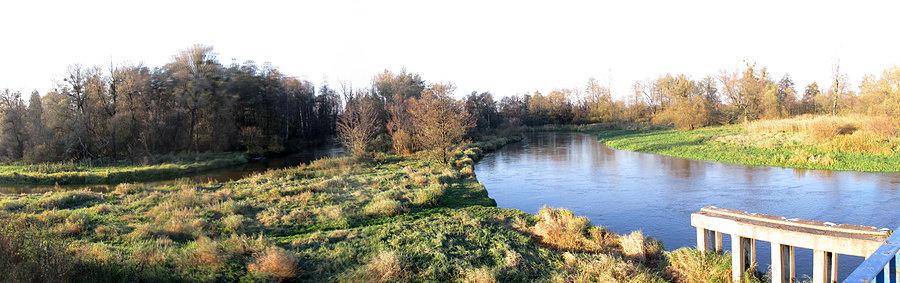 Meandrujący Wieprz w Łańcuchowie