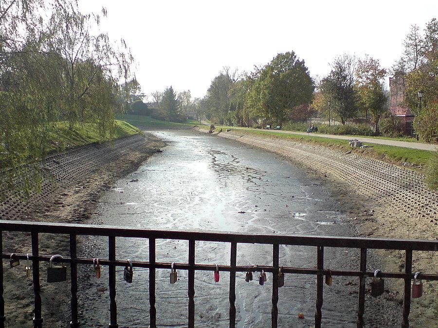 Czyszczenie stawu