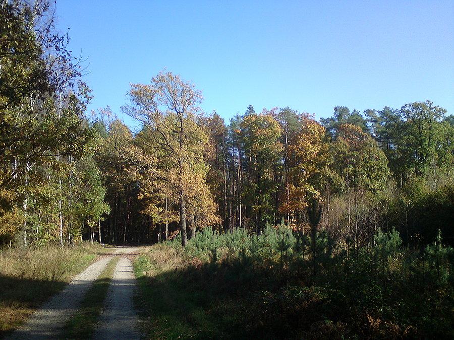 Południowa trasa narciarska