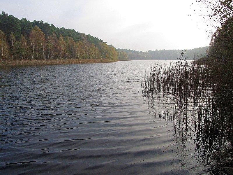 Jezioro Miejskie w Okońcu