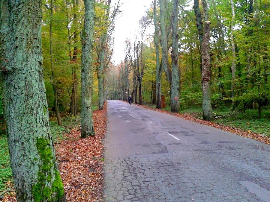Sławociesze ...w oddali Iwonka