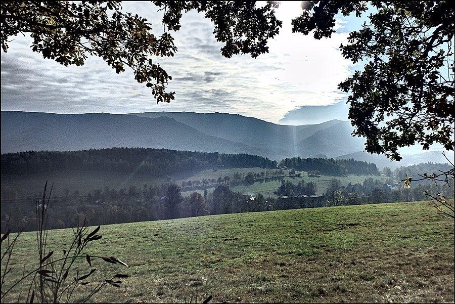 Widoczek