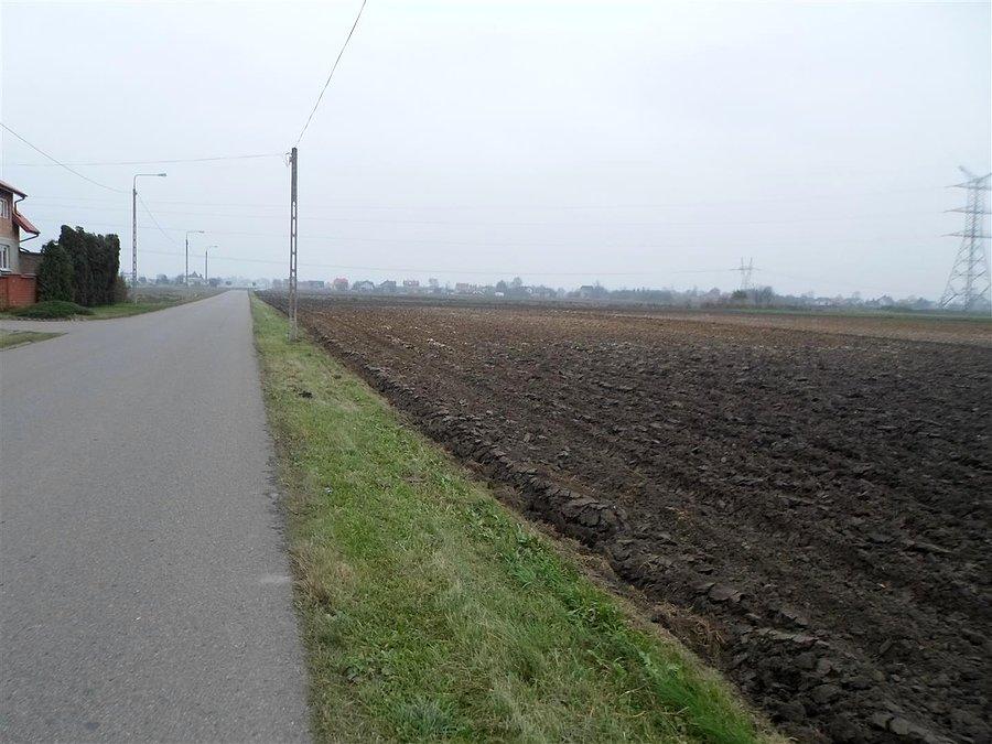 Ziemia urodziła, teraz odpoczywa