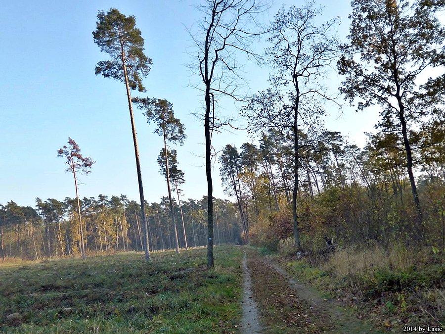 Piękne widoki w drodze powrotnej
