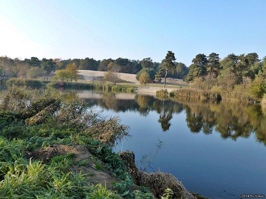 Z daleka widać park przy Jeziorce
