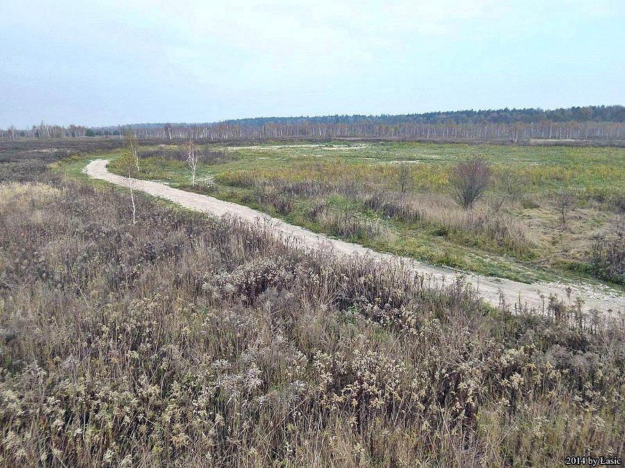 Widok z drona