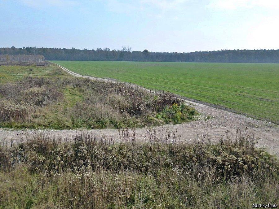 Widok z drona