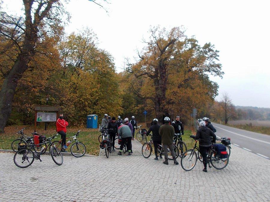 Akcja Nadbrzeże - Dąb w Kadynach