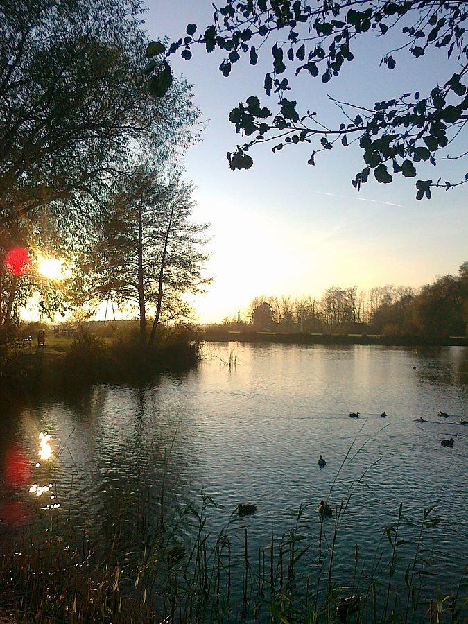 Piękna jesień nad stawem