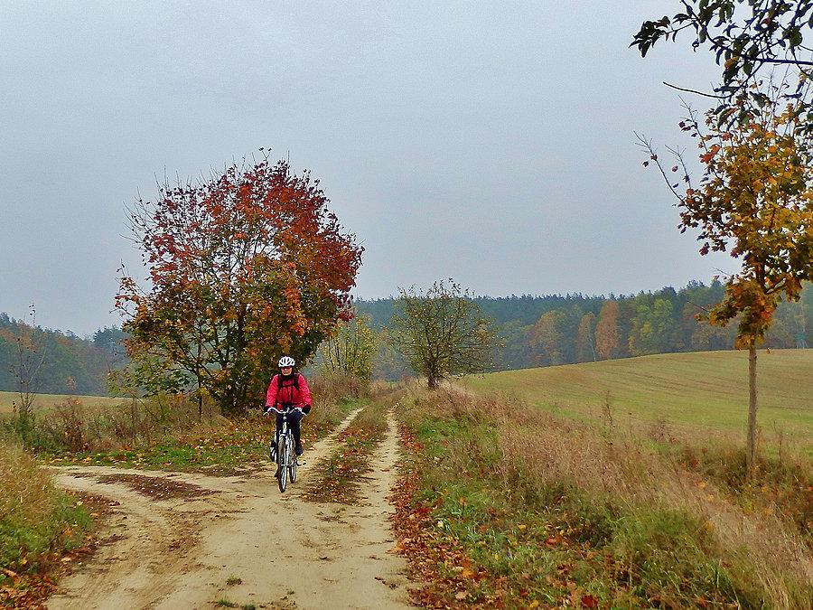 Małe Wiosło - Durze Wiosło. Okolice Opalenia. Na trasie wycieczki