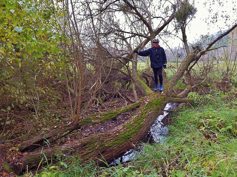 Małe Wiosło - Durze Wiosło. Okolice Opalenia. Na trasie wycieczki