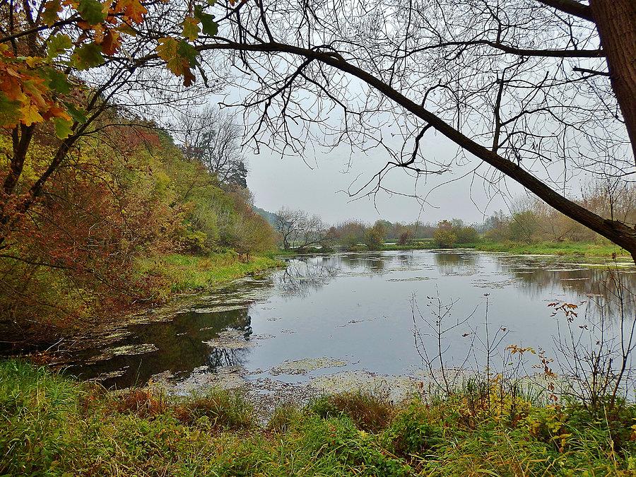Małe Wiosło - Durze Wiosło. Okolice Opalenia. Na trasie wycieczki