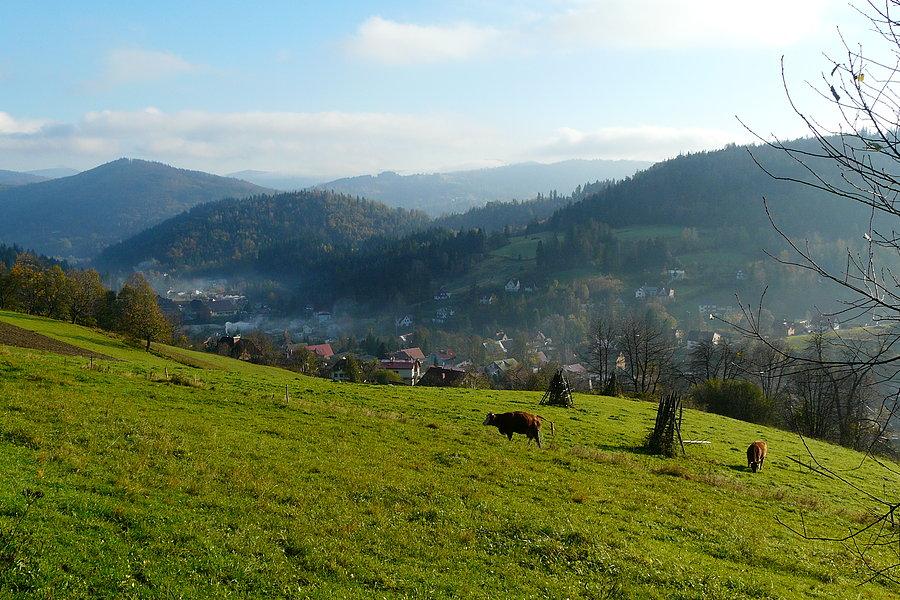 Z szlaku na przeł. Beskidek