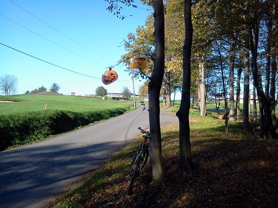 Ropice
