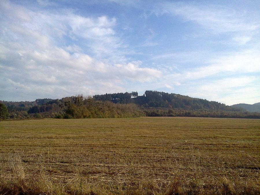 Babi hora