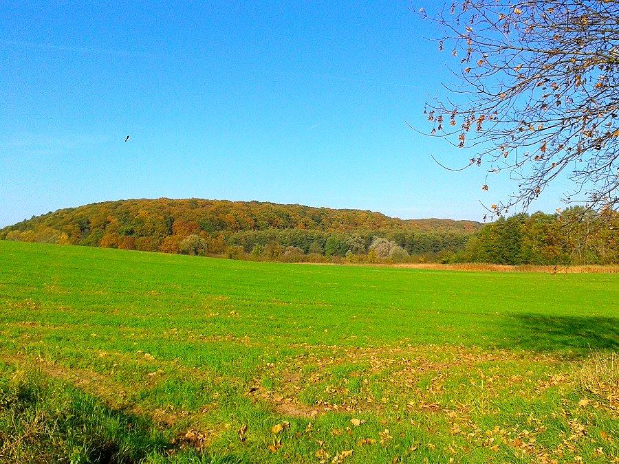 Widok na Bukowe z Glinnej