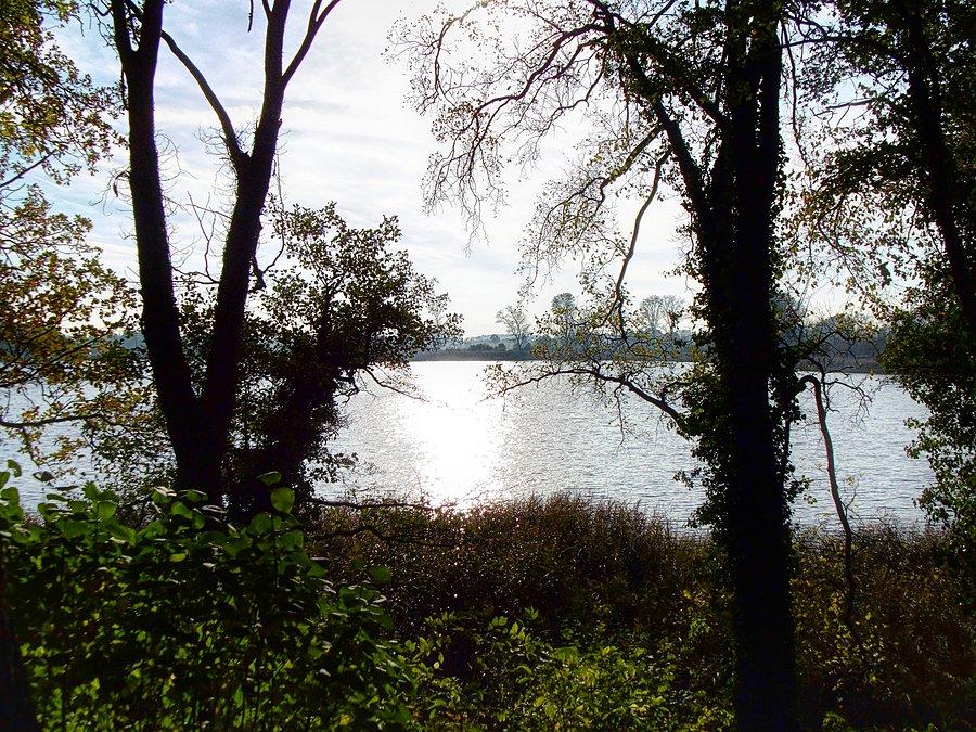 Schlosssee