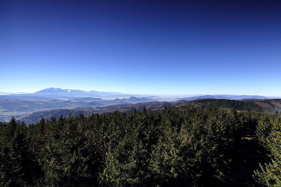 Tatry #1