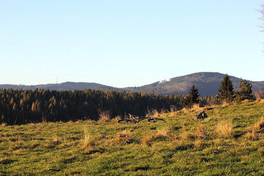 Przehyba (1175 m.n.p.m)