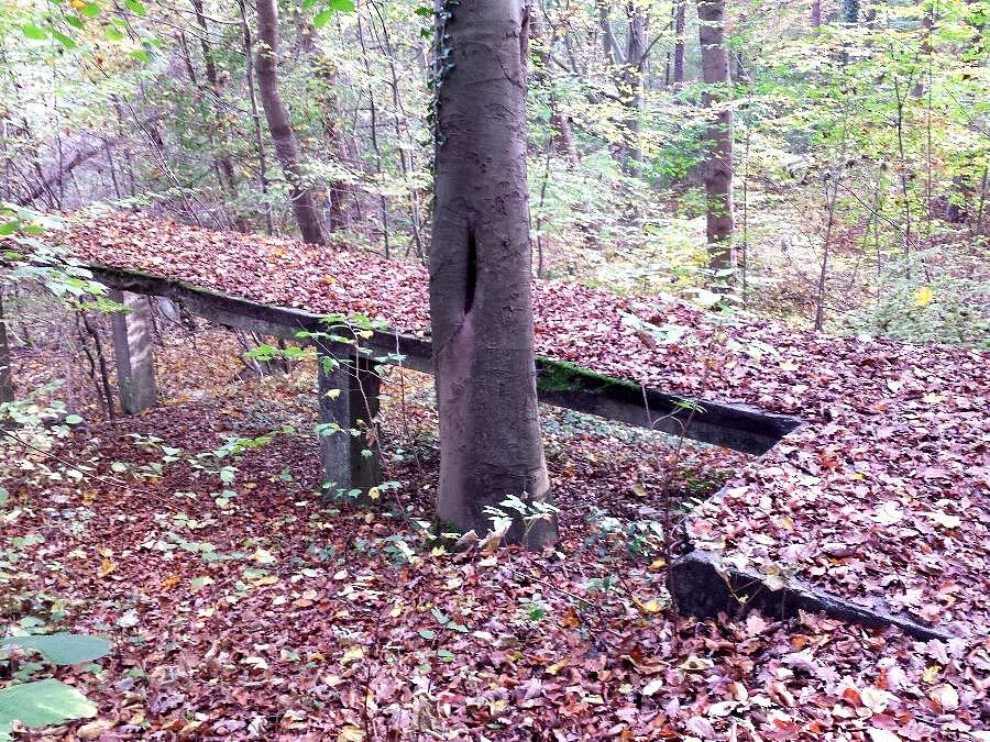Sanatorium BismarckHohe - mostek będący kiedyś podjazdem dla niepełnosprawnych