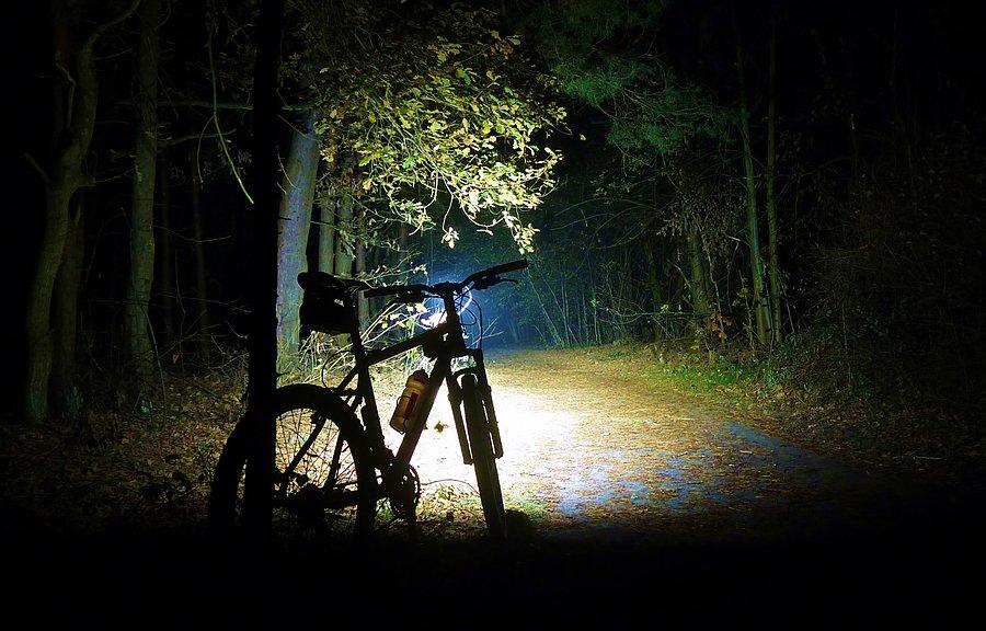 Kampinoski Park Narodowy nocą