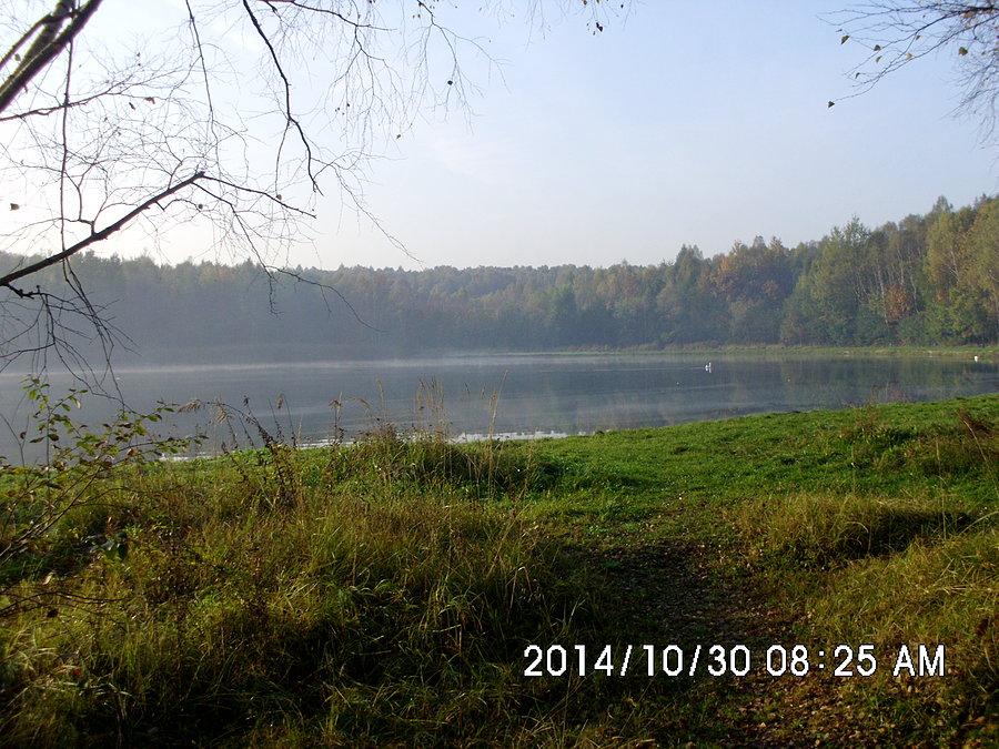 Staw Upadowy pomiędzy Zawodziem i Janowem
