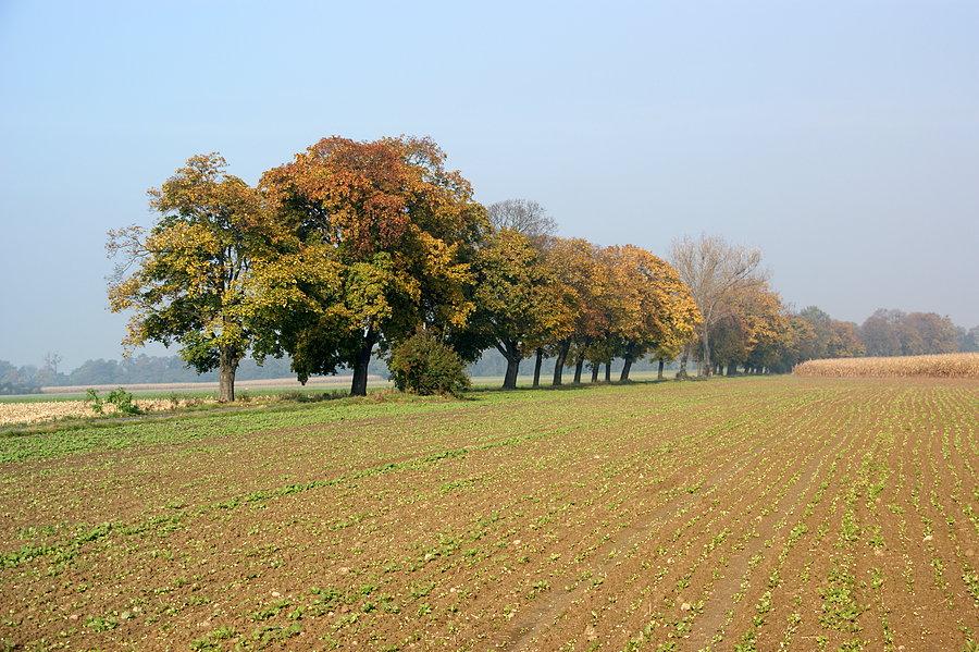 Jesień w Pokrzywnicy