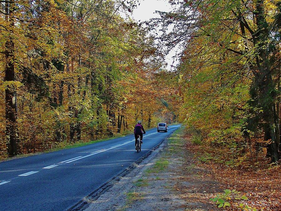 Jesienna wycieczka do Borówna. W drodze do Starogardu, jedziemy na kawę do mojej córki