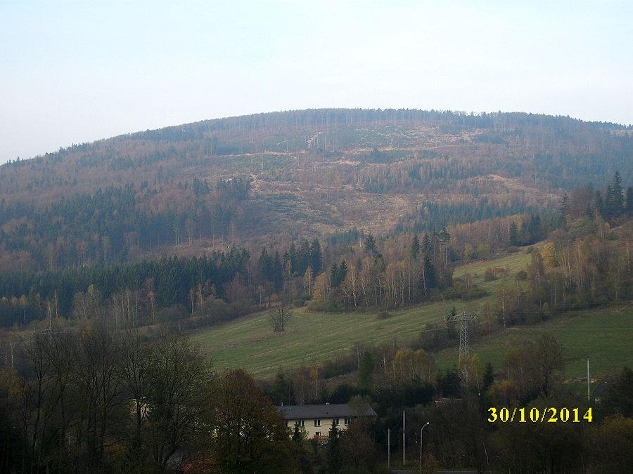 Mała Sowa