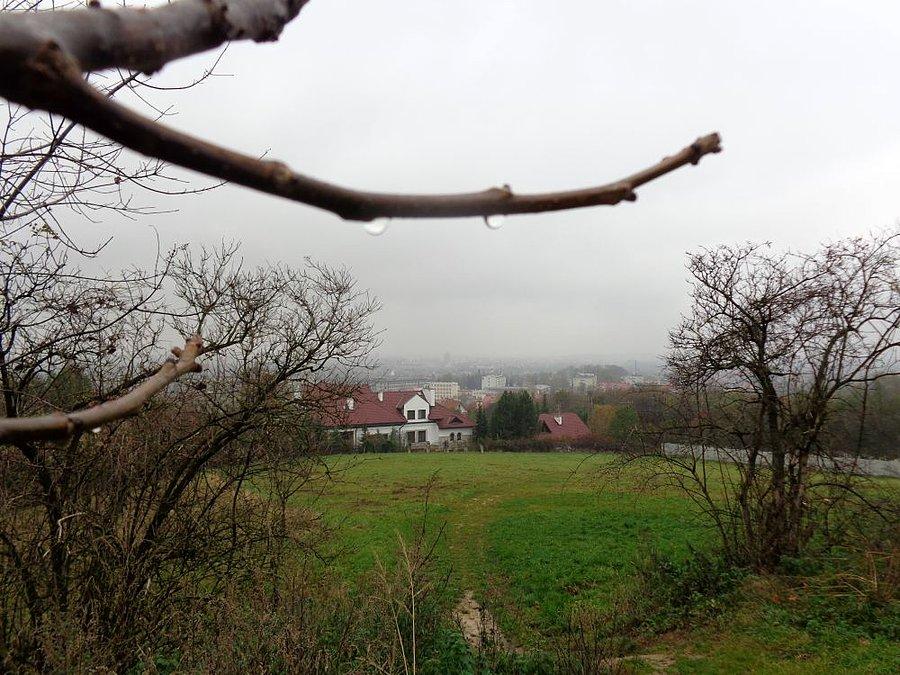 Rzeszów z tyłu