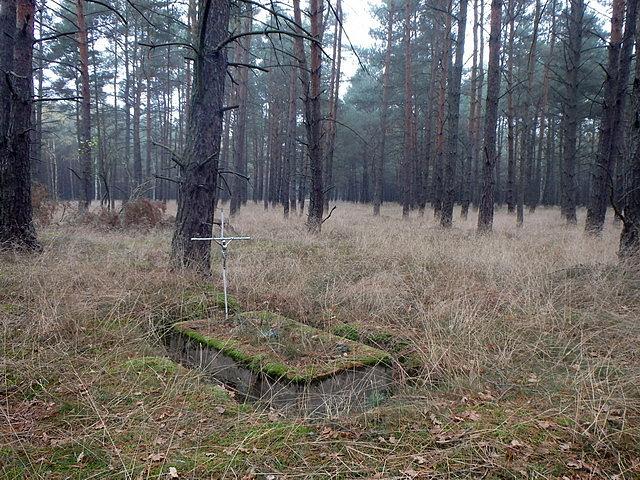 Stary cmentarz w lesie niedaleko Podlasek