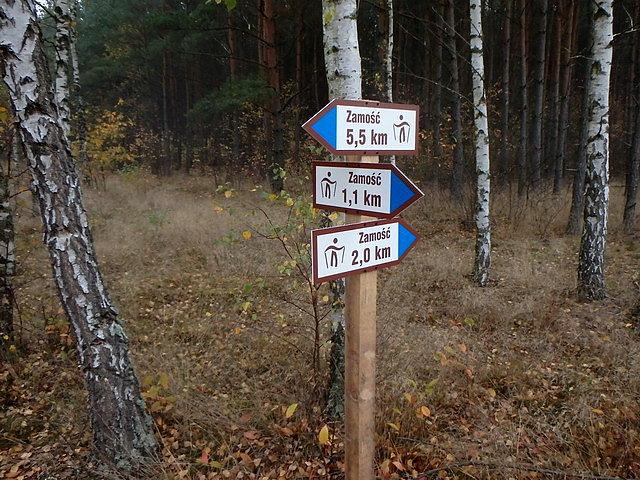 Nowy rodzaj szlaku - Nordic Walking