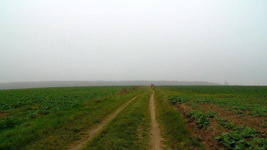Dróżka do Grzędzic