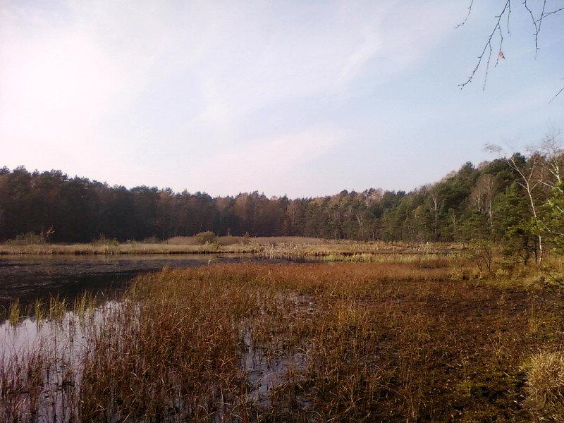 Rezerwat Wielka Woda