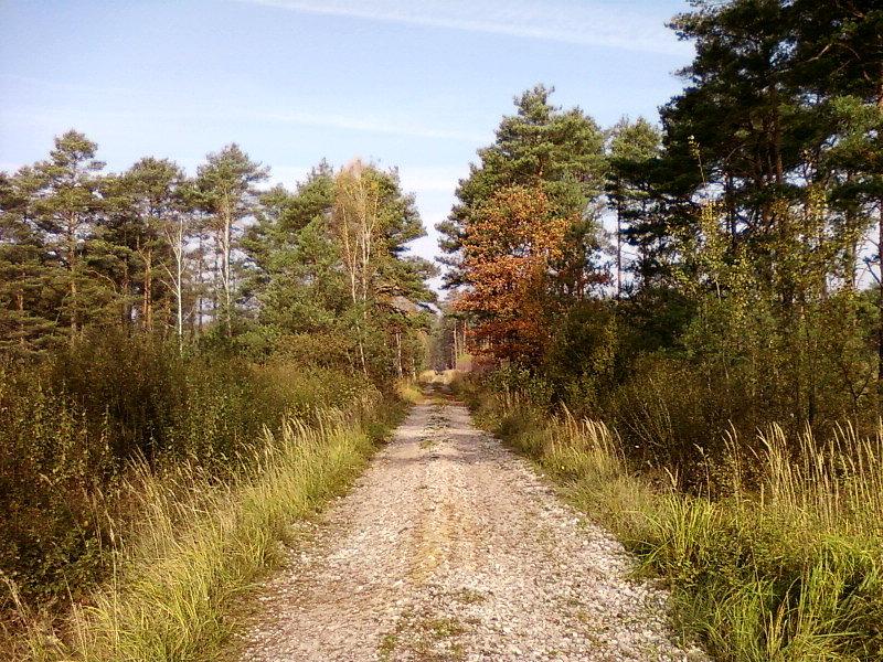 Utwardzony trakt