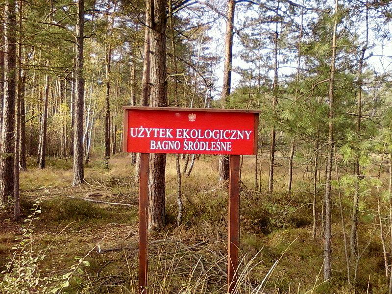 Użytek ekologiczny