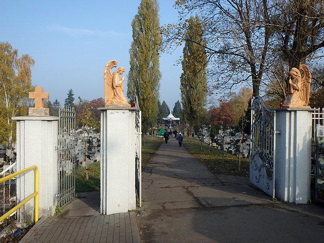 Odwiedziłem cmentarz przy ul. Ludwikowo, a potem