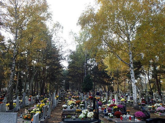 ... by wreszcie dotrzeć na cmentarz przy ul. Wiślanej