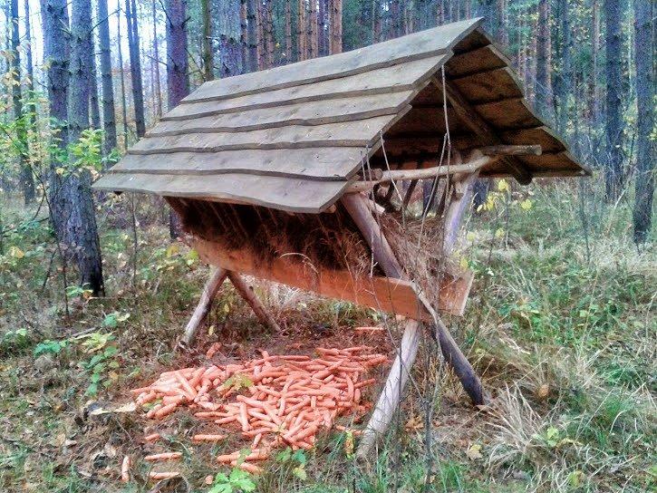 Paśnik już pełny
